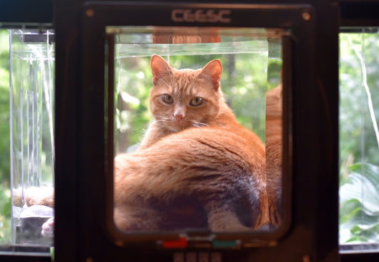 Cat Fort 19-22" Window Opening